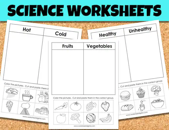 Science Worksheets